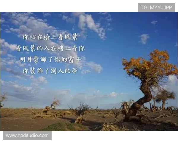 探索尊龙现金娱人生就是博的无限可能，开启你的娱乐新篇章