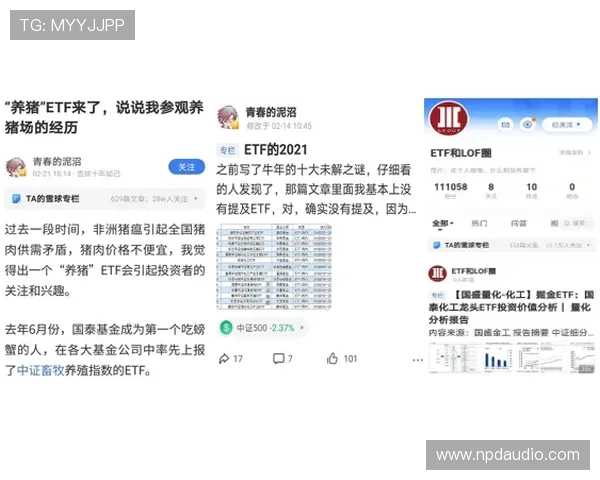 尊龙凯时百家乐官网的安全保障措施,确保每一位玩家的资金与信息安全无忧