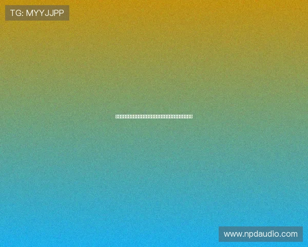 尊龙时凯官网入口：官方入口安全验证流程详解，保障玩家账号安全