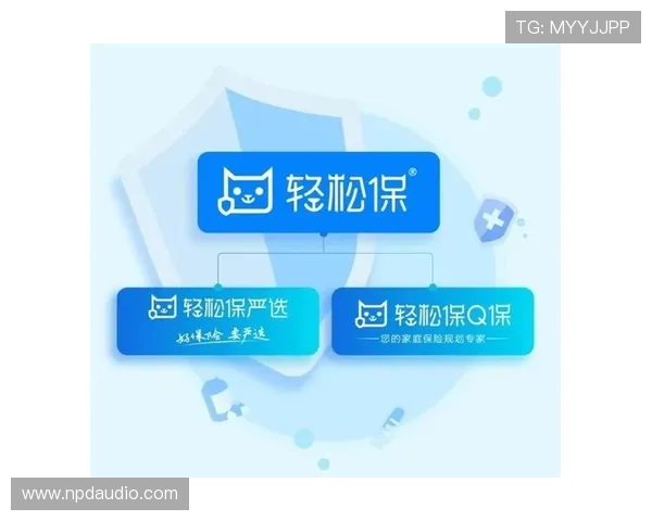 深入分析凯时vip的安全性及用户体验，值得信赖的选择