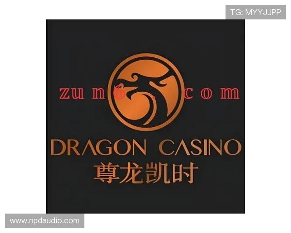 尊龙凯时平台官网最新版本全面升级，带来极致游戏体验与安全保障